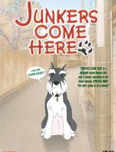 Юнкерс, ко мне!