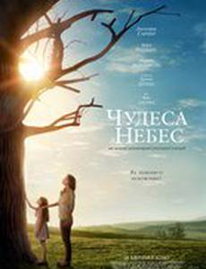 Чудеса с небес