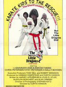 Маленькие драконы