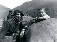 Кадр Коровы