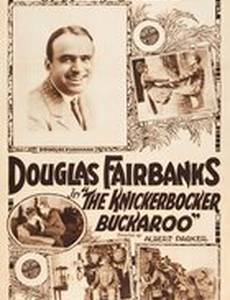 Нью-йоркский ковбой