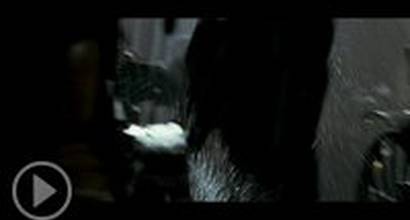 Фрагмент №2