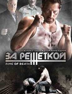 За решеткой