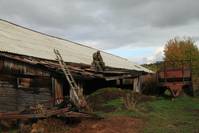 Кадр Долгая счастливая жизнь