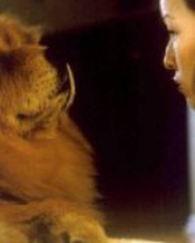 Жаклин Ванг фото