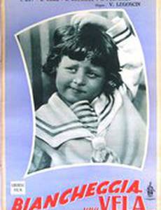 Белеет парус одинокий