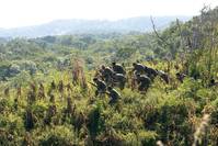 Кадр Че: Часть первая. Аргентина