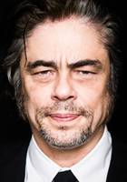 Бенисио Дель Торо