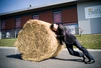 Кадр Большая вечеринка