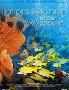 Коралловый рай