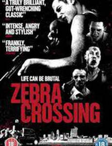 Zebra Crossing