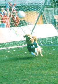 Кадр Король воздуха: Лига чемпионов (видео)