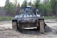 Кадр Белый тигр