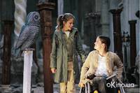 Кадр Биби – маленькая волшебница и тайна ночных птиц