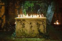 Кадр Мерлин