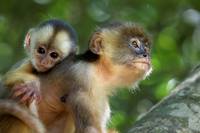 Кадр Амазония: Инструкция по выживанию 3D