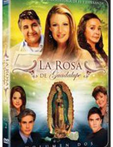 Роза Гваделупе