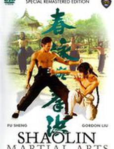 Боевые искусства Шаолиня