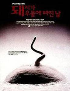 День, когда свинья упала в колодец