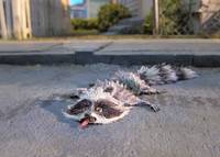 Кадр Паранорман