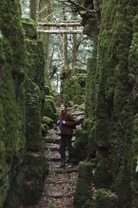 Кадр Мерлин