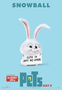 Постер Тайная жизнь домашних животных