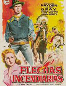 Стрела в пыли