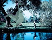 Кадр Дракон Пита