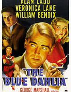 Синий георгин