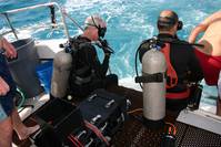 Кадр Большое путешествие вглубь океанов 3D