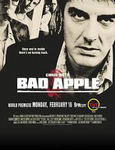 Агент под прикрытием