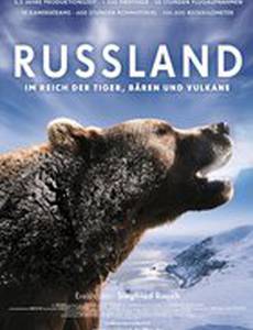 Россия — царство тигров, медведей и вулканов