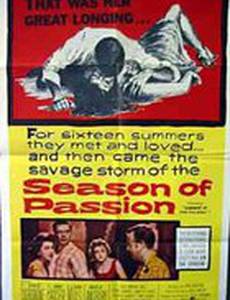 Лето семнадцатой куклы