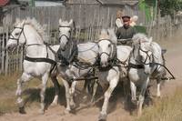 Кадр Жила-была одна баба