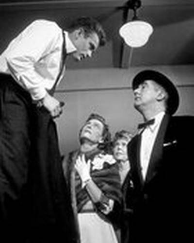 Энн Доран фото