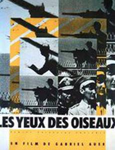 Les yeux des oiseaux