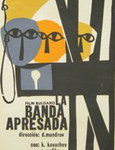 Плененная стая