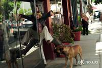 Кадр Маленькая черная книжка