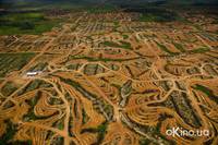 Кадр Дом. История путешествия