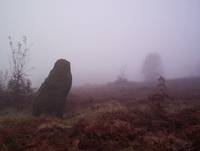 Кадр Tales from the Green Valley