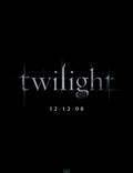 Постер из фильма "Сумерки" - 1