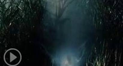 ТВ-ролик №2