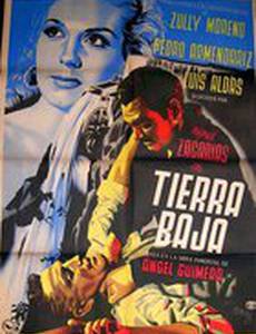 Низменность