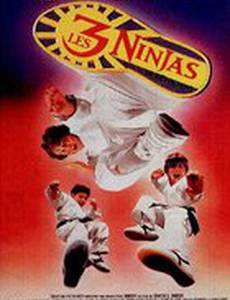 Три ниндзя: Костяшки вверх