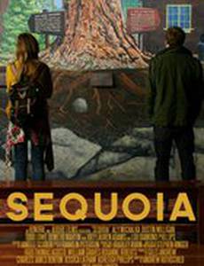 Национальный парк Секвойя