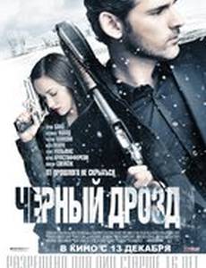 Черный дрозд