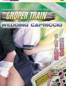 Chikan densha: Chinchin hassha