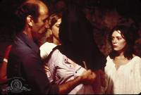 Кадр Бутон розы