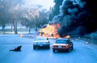 Кадр Провод под током