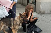 Кадр Мисс Переполох